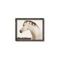 Picture of White Beauty _GroupedProduct_Rectangle_Landscape_Photography _GroupedProduct_Rectangle_Landscape_Canvas_Framed_