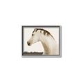 Picture of White Beauty _GroupedProduct_Rectangle_Landscape_Photography _GroupedProduct_Rectangle_Landscape_Canvas_Framed_