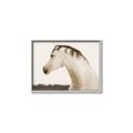 Picture of White Beauty _GroupedProduct_Rectangle_Landscape_Photography _GroupedProduct_Rectangle_Landscape_Canvas_Framed_