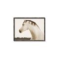 Picture of White Beauty _GroupedProduct_Rectangle_Landscape_Photography _GroupedProduct_Rectangle_Landscape_Canvas_Framed_