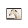 Picture of White Beauty _GroupedProduct_Rectangle_Landscape_Photography _GroupedProduct_Rectangle_Landscape_Canvas_Framed_