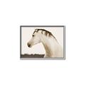 Picture of White Beauty _GroupedProduct_Rectangle_Landscape_Photography _GroupedProduct_Rectangle_Landscape_Canvas_Framed_