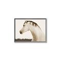 Picture of White Beauty _GroupedProduct_Rectangle_Landscape_Photography _GroupedProduct_Rectangle_Landscape_Canvas_Framed_