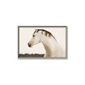 Picture of White Beauty _GroupedProduct_Rectangle_Landscape_Photography _GroupedProduct_Rectangle_Landscape_Canvas_Framed_