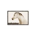 Picture of White Beauty _GroupedProduct_Rectangle_Landscape_Photography _GroupedProduct_Rectangle_Landscape_Canvas_Framed_
