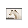 Picture of White Beauty _GroupedProduct_Rectangle_Landscape_Photography _GroupedProduct_Rectangle_Landscape_Canvas_Framed_
