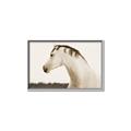 Picture of White Beauty _GroupedProduct_Rectangle_Landscape_Photography _GroupedProduct_Rectangle_Landscape_Canvas_Framed_