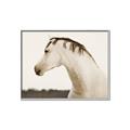 Picture of White Beauty _GroupedProduct_Rectangle_Landscape_Photography _GroupedProduct_Rectangle_Landscape_Canvas_Framed_