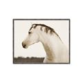 Picture of White Beauty _GroupedProduct_Rectangle_Landscape_Photography _GroupedProduct_Rectangle_Landscape_Canvas_Framed_