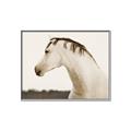 Picture of White Beauty _GroupedProduct_Rectangle_Landscape_Photography _GroupedProduct_Rectangle_Landscape_Canvas_Framed_