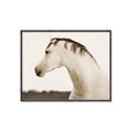 Picture of White Beauty _GroupedProduct_Rectangle_Landscape_Photography _GroupedProduct_Rectangle_Landscape_Canvas_Framed_