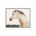 Picture of White Beauty _GroupedProduct_Rectangle_Landscape_Photography _GroupedProduct_Rectangle_Landscape_Canvas_Framed_