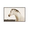 Picture of White Beauty _GroupedProduct_Rectangle_Landscape_Photography _GroupedProduct_Rectangle_Landscape_Canvas_Framed_