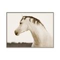Picture of White Beauty _GroupedProduct_Rectangle_Landscape_Photography _GroupedProduct_Rectangle_Landscape_Canvas_Framed_