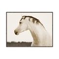Picture of White Beauty _GroupedProduct_Rectangle_Landscape_Photography _GroupedProduct_Rectangle_Landscape_Canvas_Framed_
