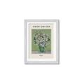 Picture of VVG Roses _GroupedProduct_Rectangle_Portrait_Framed_Matted_