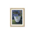 Picture of Violet Succulents _GroupedProduct_Rectangle_Portrait_Framed_Matted_