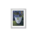 Picture of Violet Succulents _GroupedProduct_Rectangle_Portrait_Framed_Matted_