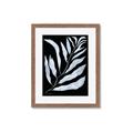 Picture of Fern Leaves I _GroupedProduct_Rectangle_Portrait_Framed_Matted_