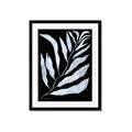 Picture of Fern Leaves I _GroupedProduct_Rectangle_Portrait_Framed_Matted_