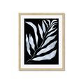 Picture of Fern Leaves I _GroupedProduct_Rectangle_Portrait_Framed_Matted_