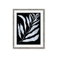 Picture of Fern Leaves I _GroupedProduct_Rectangle_Portrait_Framed_Matted_