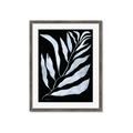 Picture of Fern Leaves I _GroupedProduct_Rectangle_Portrait_Framed_Matted_
