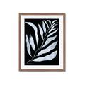Picture of Fern Leaves I _GroupedProduct_Rectangle_Portrait_Framed_Matted_