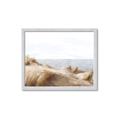 Picture of Foreshore _GroupedProduct_Rectangle_Landscape_Framed_Matted_