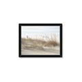 Picture of Seaside Grass _GroupedProduct_Rectangle_Landscape_Framed_Matted_