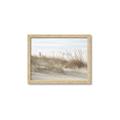 Picture of Seaside Grass _GroupedProduct_Rectangle_Landscape_Framed_Matted_