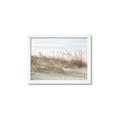 Picture of Seaside Grass _GroupedProduct_Rectangle_Landscape_Framed_Matted_