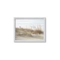 Picture of Seaside Grass _GroupedProduct_Rectangle_Landscape_Framed_Matted_