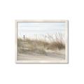 Picture of Seaside Grass _GroupedProduct_Rectangle_Landscape_Framed_Matted_