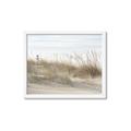 Picture of Seaside Grass _GroupedProduct_Rectangle_Landscape_Framed_Matted_