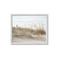 Picture of Seaside Grass _GroupedProduct_Rectangle_Landscape_Framed_Matted_