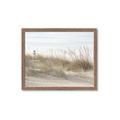 Picture of Seaside Grass _GroupedProduct_Rectangle_Landscape_Framed_Matted_