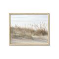 Picture of Seaside Grass _GroupedProduct_Rectangle_Landscape_Framed_Matted_
