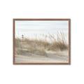 Picture of Seaside Grass _GroupedProduct_Rectangle_Landscape_Framed_Matted_