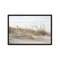Picture of Seaside Grass _GroupedProduct_Rectangle_Landscape_Framed_Matted_