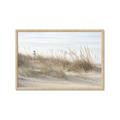 Picture of Seaside Grass _GroupedProduct_Rectangle_Landscape_Framed_Matted_