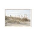 Picture of Seaside Grass _GroupedProduct_Rectangle_Landscape_Framed_Matted_