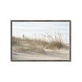 Picture of Seaside Grass _GroupedProduct_Rectangle_Landscape_Framed_Matted_
