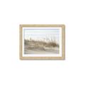 Picture of Seaside Grass _GroupedProduct_Rectangle_Landscape_Framed_Matted_