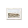 Picture of Seaside Grass _GroupedProduct_Rectangle_Landscape_Framed_Matted_