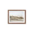 Picture of Seaside Grass _GroupedProduct_Rectangle_Landscape_Framed_Matted_