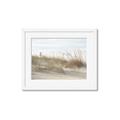 Picture of Seaside Grass _GroupedProduct_Rectangle_Landscape_Framed_Matted_