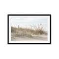 Picture of Seaside Grass _GroupedProduct_Rectangle_Landscape_Framed_Matted_