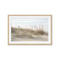 Picture of Seaside Grass _GroupedProduct_Rectangle_Landscape_Framed_Matted_