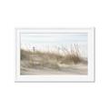 Picture of Seaside Grass _GroupedProduct_Rectangle_Landscape_Framed_Matted_